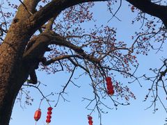 -大旗头古村