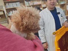 -瑞派宠物医院·24h·骨外科·皮肤科·全科宠物医疗转诊中心(沈阳浑南院)