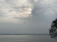 -宝安西湾红树林湿地公园