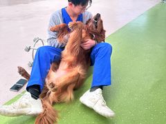 -全心全意动物诊疗中心医院(北苑店)