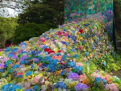 -上海共青森林公园