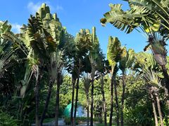 -深圳国际园林花卉博览园