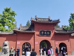-洛阳白马寺
