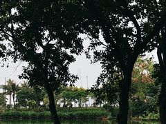 -中澳友谊花园
