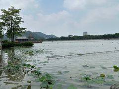 -顺峰山公园