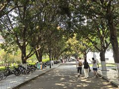 -厦门大学(思明校区)