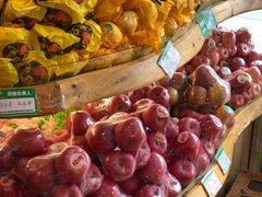 -百果园PAGODA(西四地铁站店)