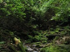 -本溪汤沟绿石谷森林公园
