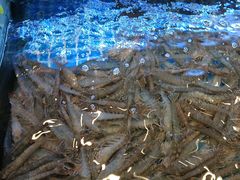 -阿明小菜·海鲜·上海菜(梅陇华理店)