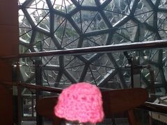 -1868 Café(上海自然博物馆店)