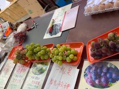 -马陆小张葡萄园农家乐