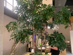 大堂-泥炉烧肉师(新街口金銮巷店)