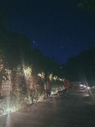 点击看大图 -醉库庄园·宴会厅·草坪婚礼场地