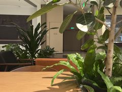-Peet's 皮爷咖啡(深圳湾万象城店)