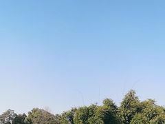 -三圣花乡旅游区