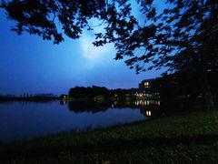 -松山湖梦幻百花洲