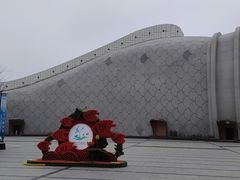 -泗洪洪泽湖湿地景区