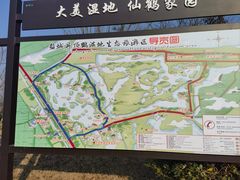 -盐城丹顶鹤湿地生态旅游区