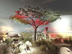 -天津自然博物馆