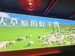 -京悦南门涮羊肉·羊蝎子火锅(田林路店)