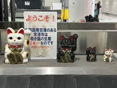 -中部国际机场