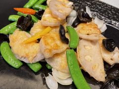 -骏莱海鲜鱼港(五角场店)