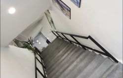 -蚂蚁造型沙龙