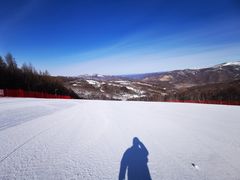 -多乐美地滑雪场
