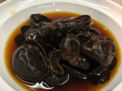 木耳-喜家德虾仁水饺(华强天虹店)