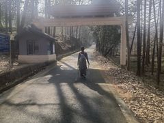 -午潮山国家森林公园