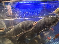 -味钱塘·钱塘浙宴(宋城之江银泰店)