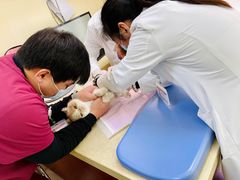 -艾贝尔宠物诊疗