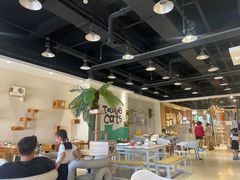 -藏猫猫咖啡主题馆(中央大道店)