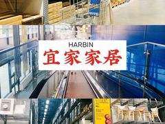 -宜家家居(哈尔滨商场店)