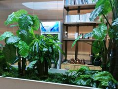 -悦海·家宴·冰花皮皮虾大锅贴(宝龙店)