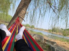 -马家湾湿地公园