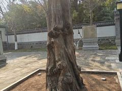 -华山风景区-华阳宫