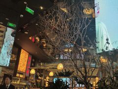 -桂满陇·海市蜃楼·黑金(国金店)