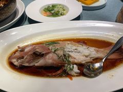 -宝燕壹号(徐汇店)