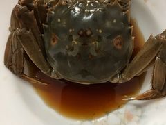 -黄记大闸蟹专卖店·活蟹·醉蟹