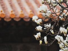 -故宫博物院(故宫)