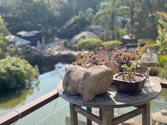 -厦门园林植物园-植物园滴水山房