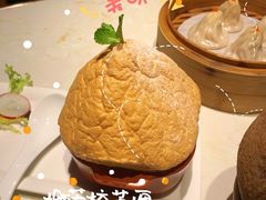 -点都德·毕德寮