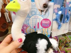 -Olé精品超市(苏州中心店)