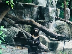 -清迈夜间动物园