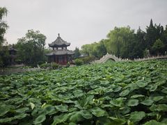-莲池书院博物馆