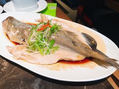 年年有余清蒸鲈鱼-汤城小厨•粤菜•靓汤(苏州街店)