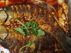 -陈生记黑鱼馆·20年活鱼现杀(宁波鼓楼店)