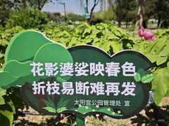 -太阳宫公园