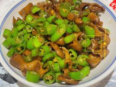 -壹盏灯(惠农店)